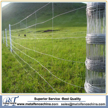 High Quality Rural Fence for Farm